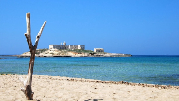 A coastal scene with a sandy beach, a weathered tree, and a small island with a building that appears to be a lighthouse or fort. - Trappeto Dellago with pool, parking & wi.fi  (Avola-Noto (siracusa))