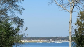 Un paysage côtier offrant une vue dégagée sur la mer, avec un premier plan herbeux et une rangée d’arbres à l’horizon.