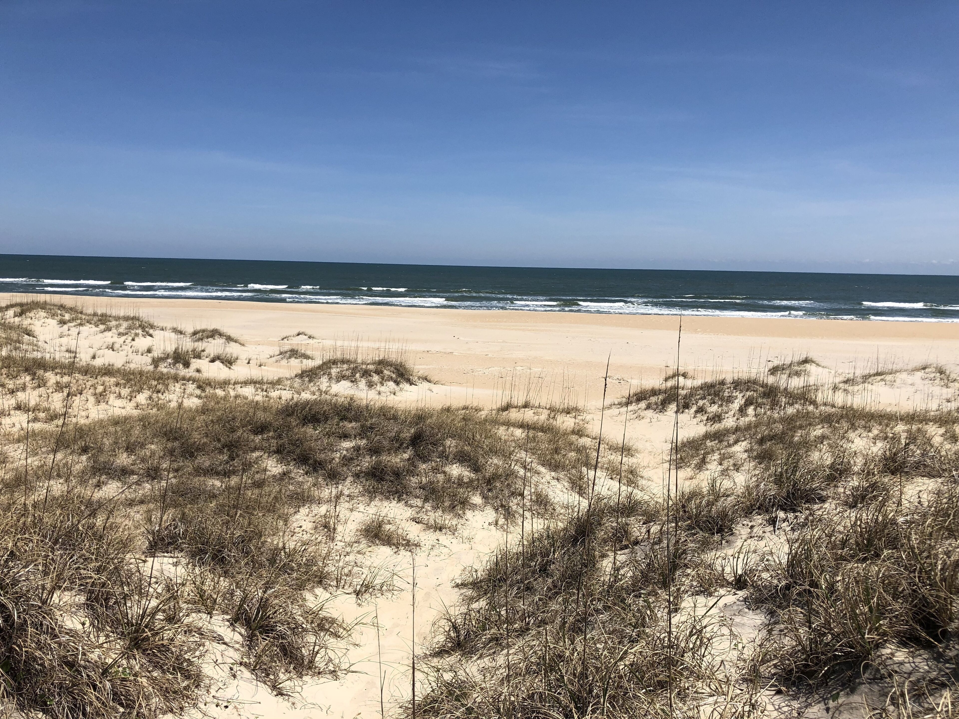 On the beach