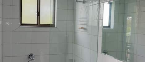 A modern bathroom with a glass shower enclosure, a white sink, and a mirror above the sink.