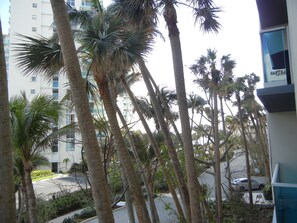 Property grounds - Beautiful 2 bedrooms Corner Unit for a relaxed stay on the beach!! (Hollywood)
