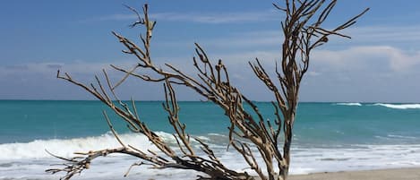 Am Strand, Liegestühle, Strandtücher