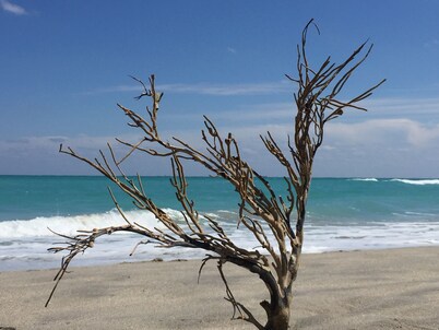 Beautiful  2 bedrooms Corner Unit for a relaxed stay on the beach!! 