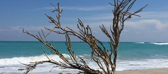 Beautiful 2 bedrooms Corner Unit for a relaxed stay on the beach!!