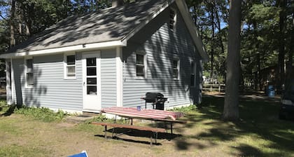 CABIN #2 WITH LAKE VIEW AT HIGGINS LAKE - TRUE NORTH CABIN RENTALS.