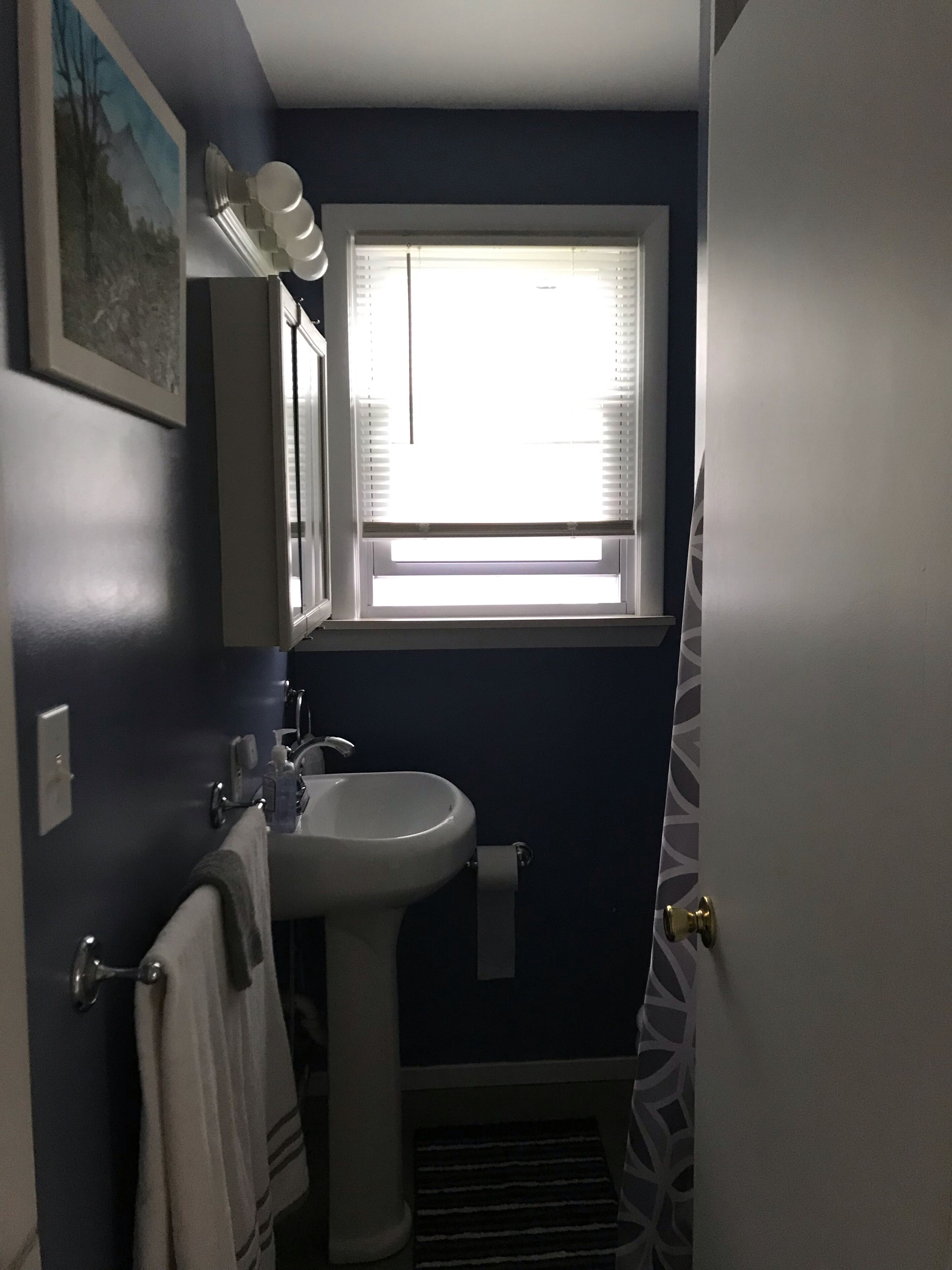 CABIN #2 WITH LAKE VIEW AT HIGGINS LAKE - TRUE NORTH CABIN RENTALS.