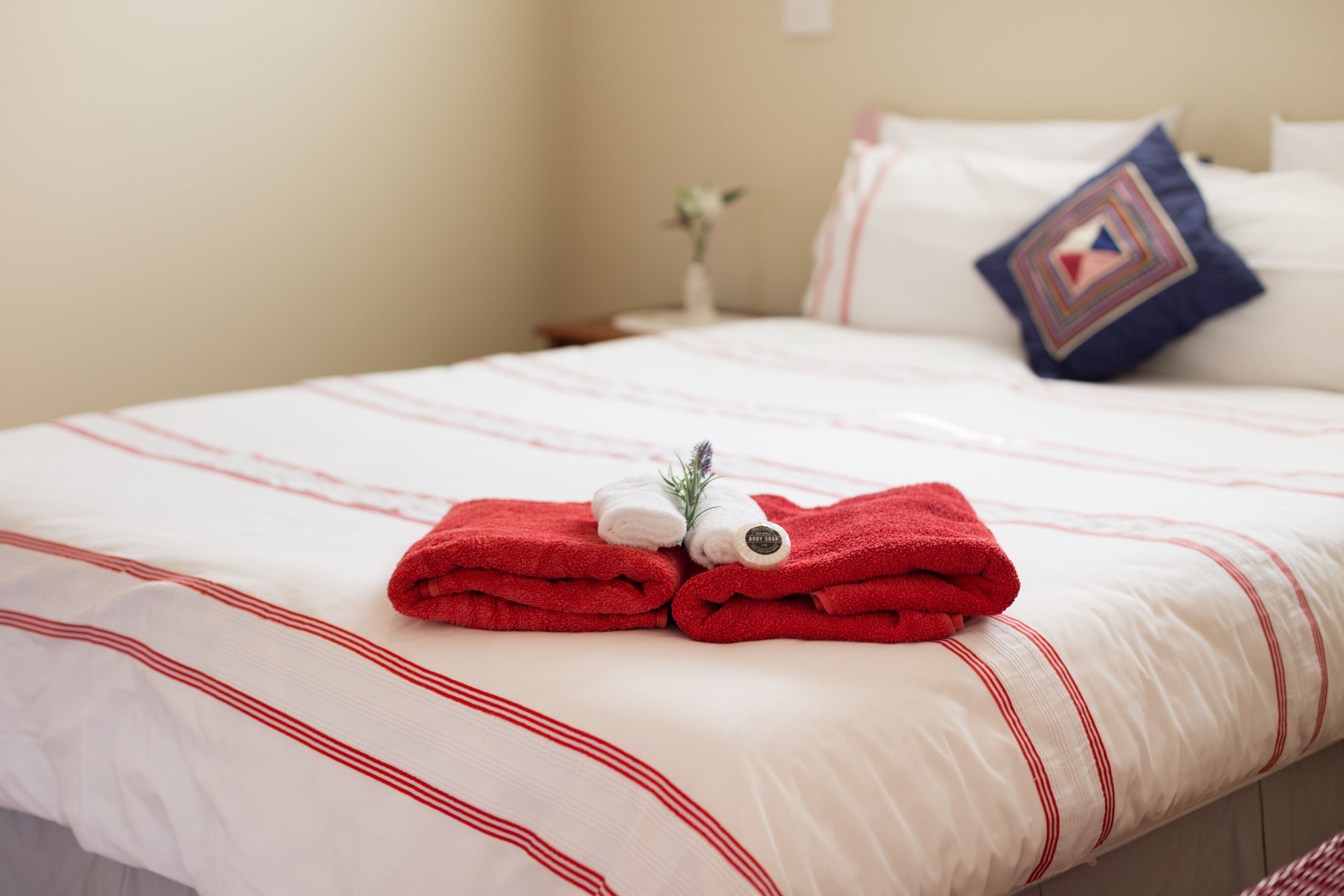 Cradle at Casa Blanca