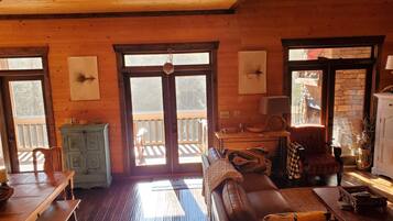 TV, fireplace, DVD player, books
