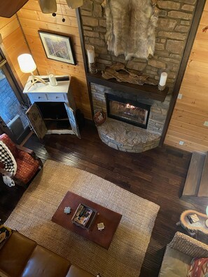 TV, fireplace, DVD player, books