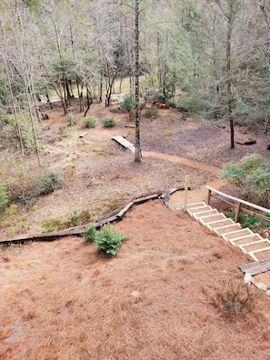 Escape to a serene forest setting with a winding staircase leading to a secluded area.