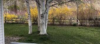 "HOT TUB" - Historic Cottage at the White Lily Ranch