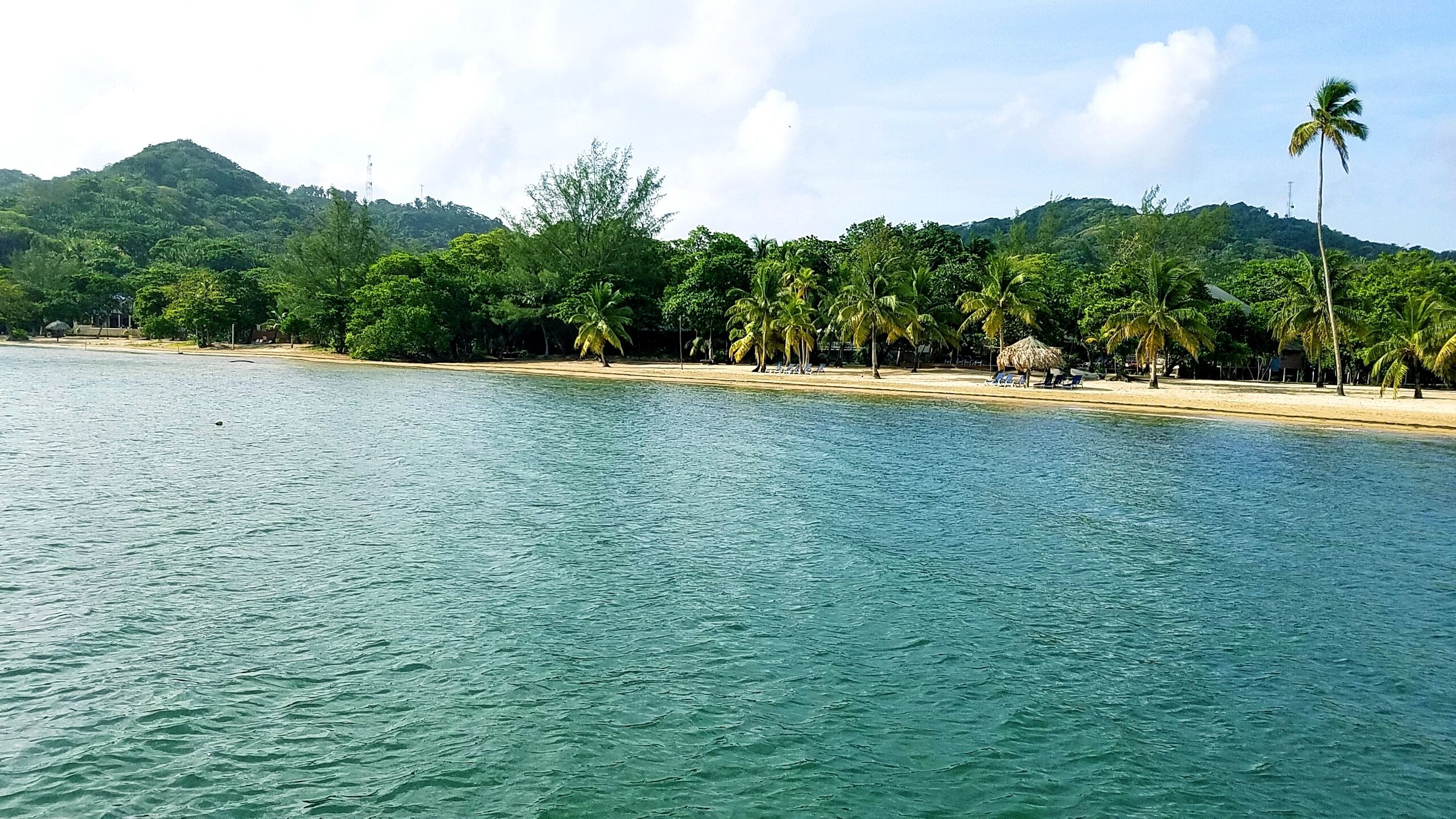 Una playa con agua cristalina, palmeras y una cabaña con techo de paja.