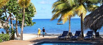 Familjevänlig strandbungalow | Privat Eco Dive Resort med pool och strand