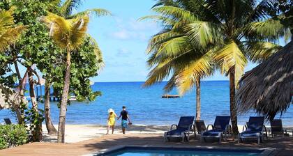 Bungalow familiar en la playa | Resort de buceo ecológico privado con piscina y playa