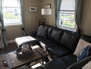Smart TV, fireplace, DVD player, books