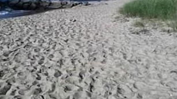 A sandy beach with a clear blue sky and calm sea.