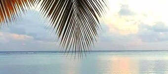 Entspannender Bungalow am Strand, beste Sonnenuntergänge, unberührte Riffe = perfekter Urlaub