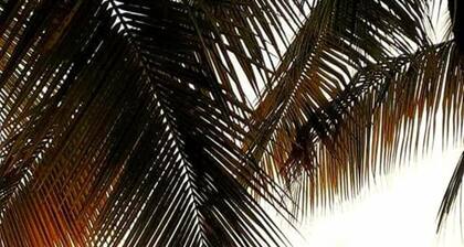 Relaxing Beachfront Bungalow, Best Sunsets, Pristine Reefs = Perfect Vacation