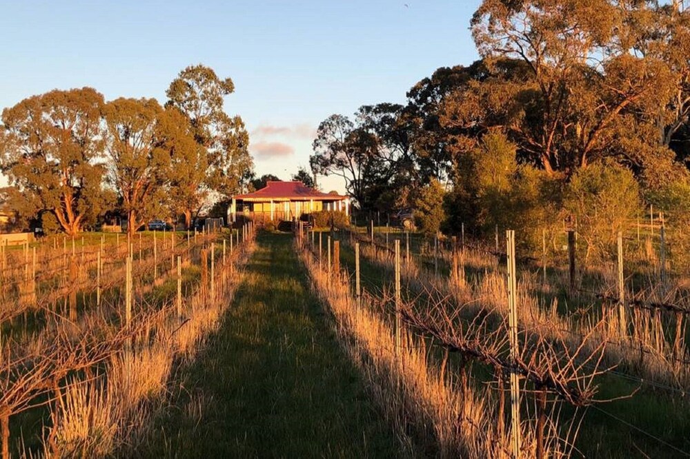 Studio apartment on a vineyard in the heart of the goldfields