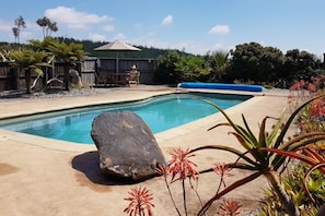 A rectangular pool with a blue liner, surrounded by a concrete deck. There is a large rock in the foreground and various tropical plants around the pool area. - Golden Hills Farm Cottage, Stunning Views and a Swimming Pool (Richmond)