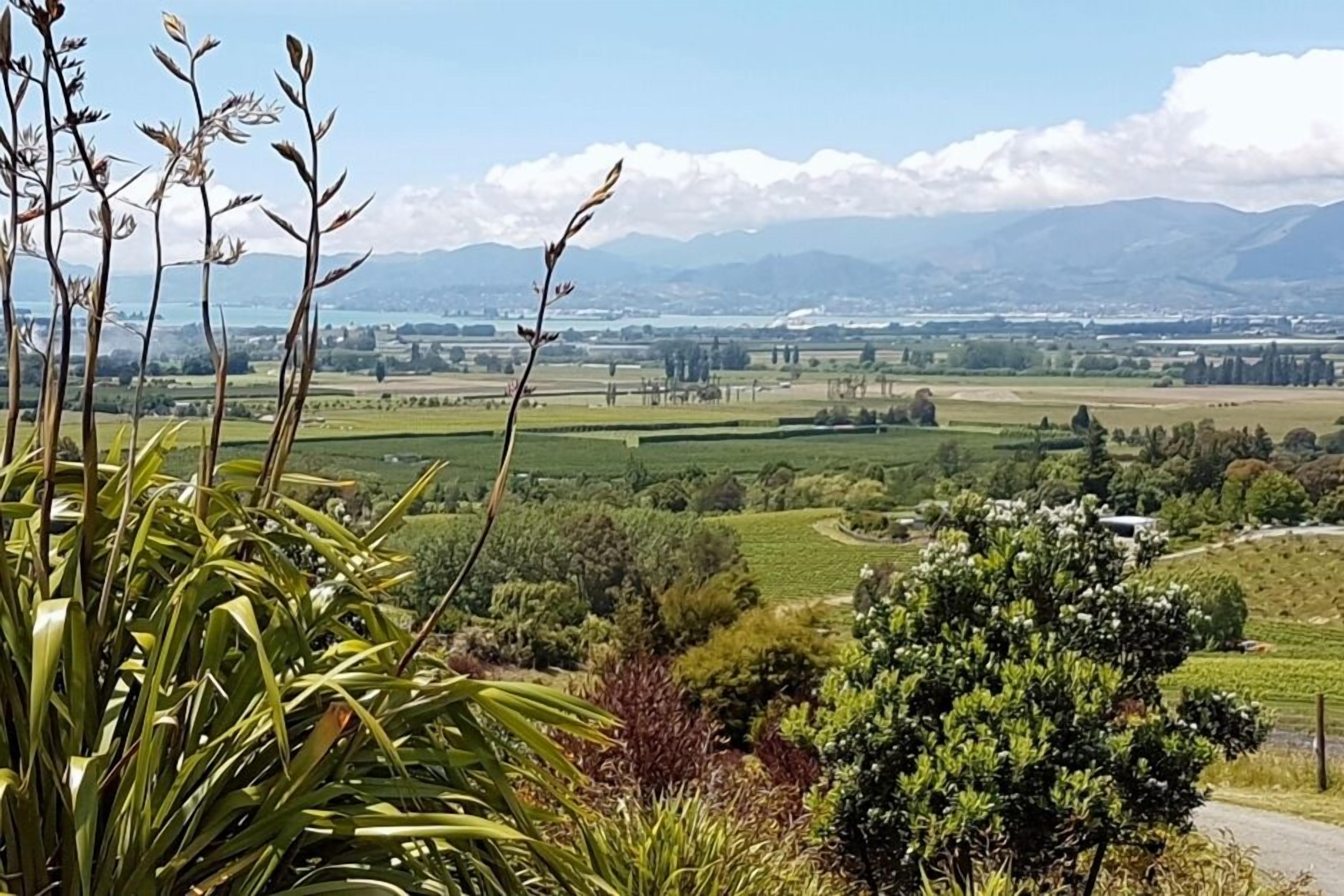 Un paysage rural avec des champs, une route et des montagnes à l’horizon.