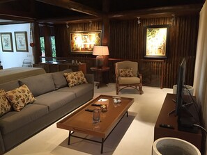 Smart TV, DVD player