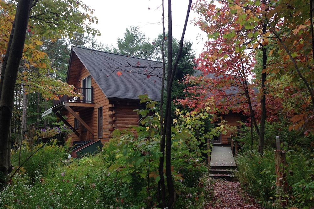 Log Cabin In the Woods
