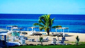A beach with lounge chairs and umbrellas, a palm tree, and the ocean in the background. - Unique Beachfront Suite, private with an amazing view w option of 2 more rooms. (Cades Bay)