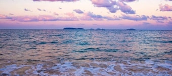 Beachfront on Mission - Absolute Beachfront
