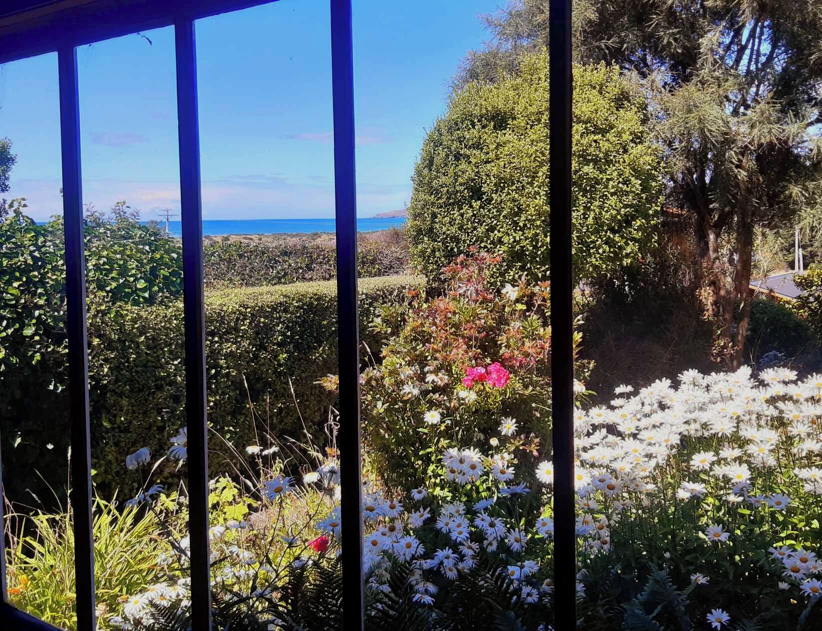View out kitchen windows looking out to the beach and beyond to Taiaroa Head.