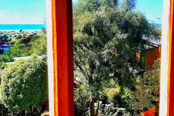 Warrington Pet Friendly Beach Villa