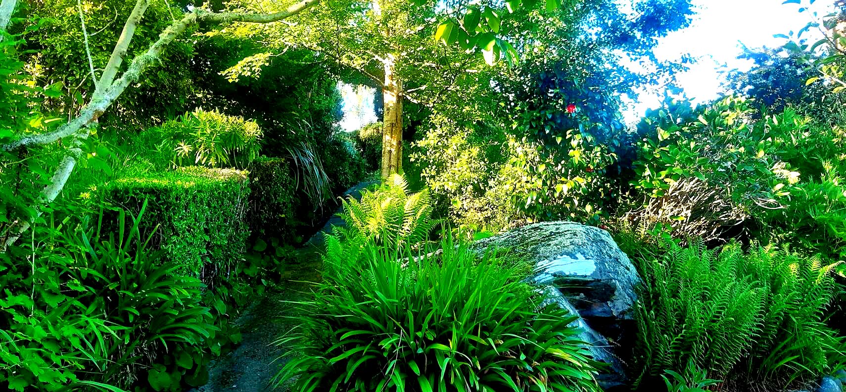Path to the bottom section. Big Rock feature.