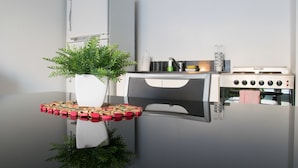 A kitchen with a white refrigerator, a stove, and a sink. There is a plant on the counter.