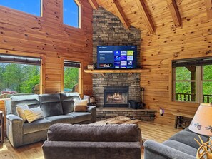 Televisión de pantalla plana, chimenea y libros 