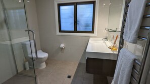 Shower, hair dryer, towels, soap