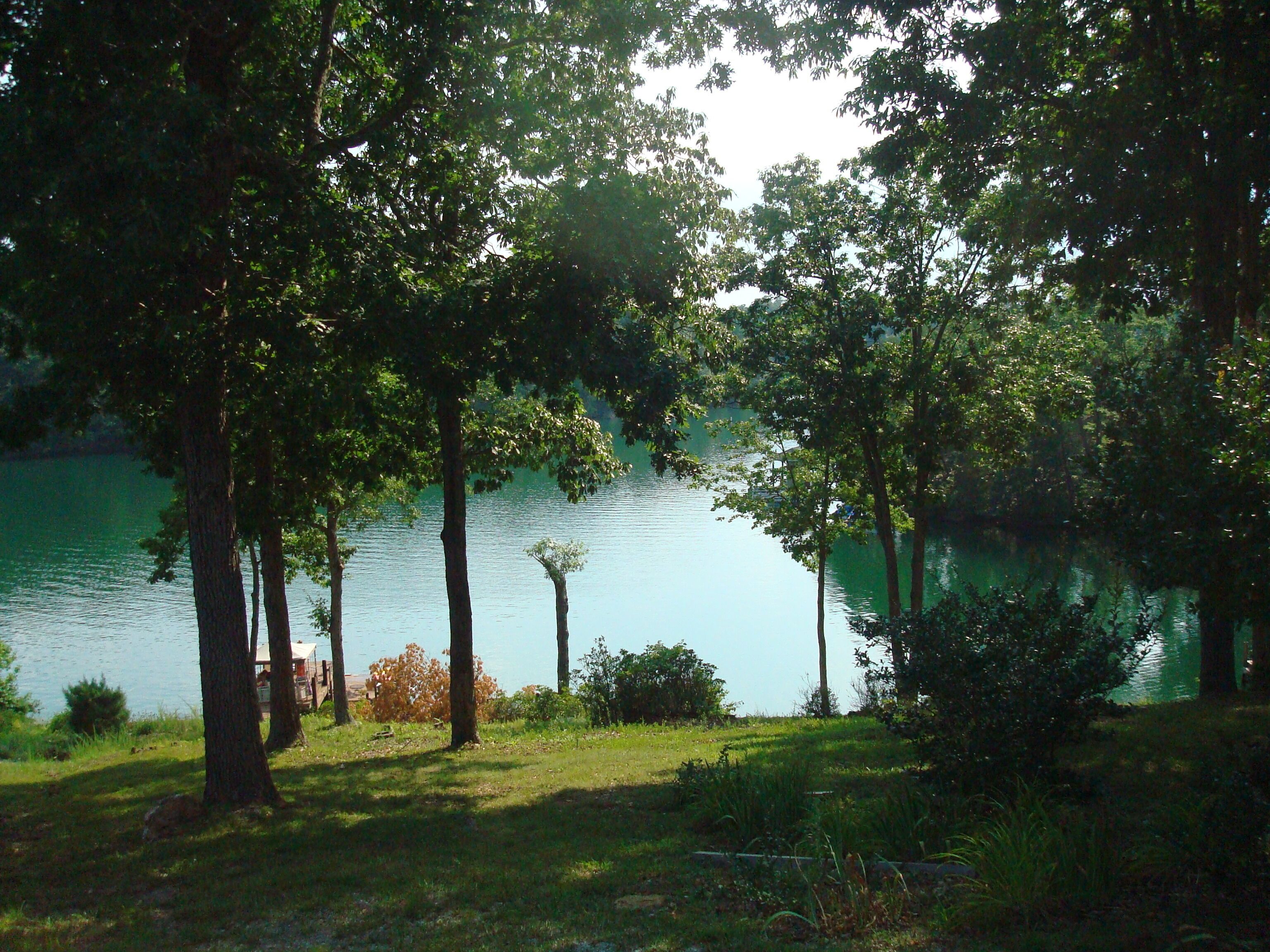 A serene lakeside setting with trees and a dock.