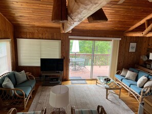 Smart-TV, DVD-spiller og bøker