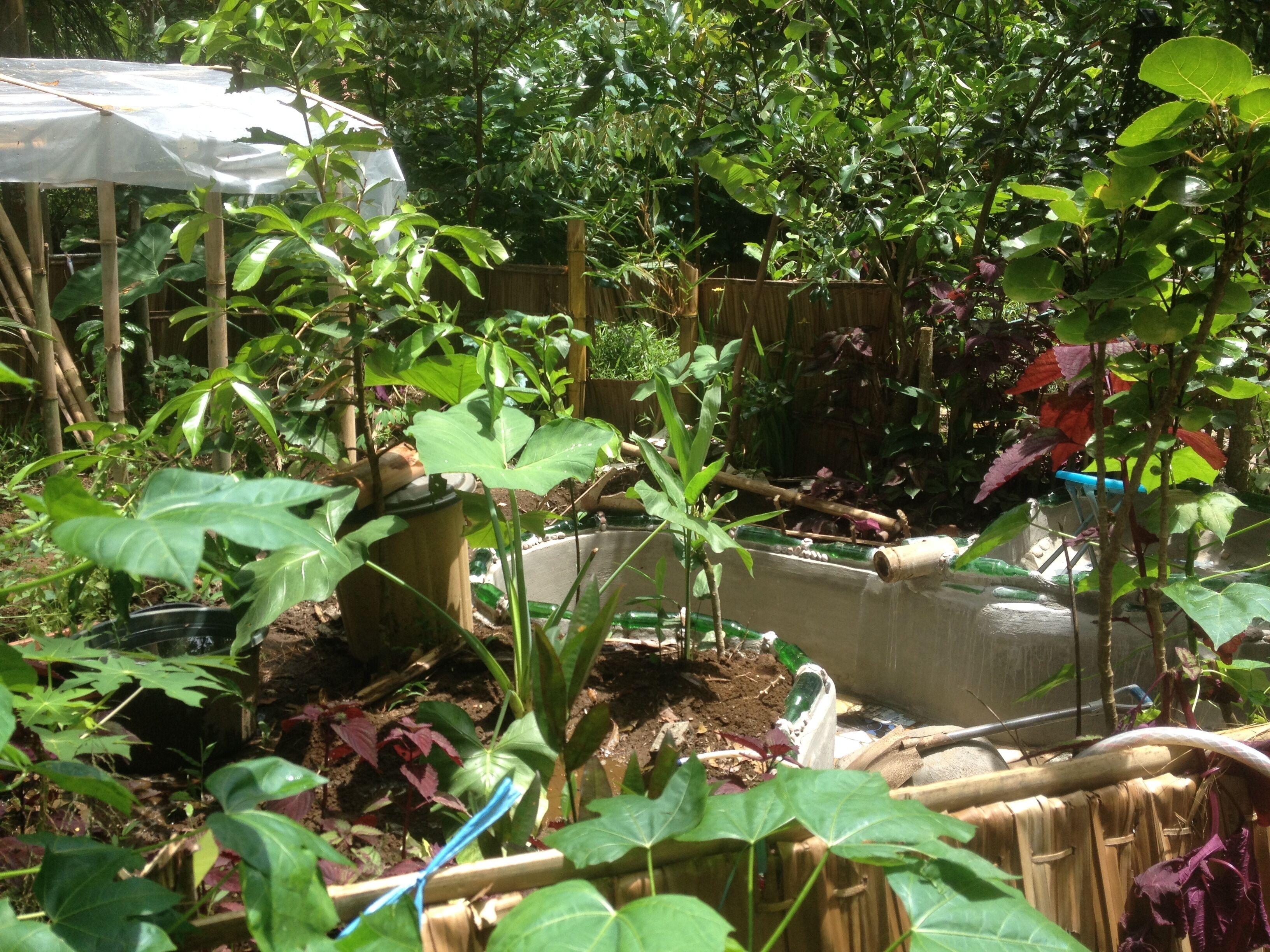 Gubuk Cinta di Kebun Pizza :