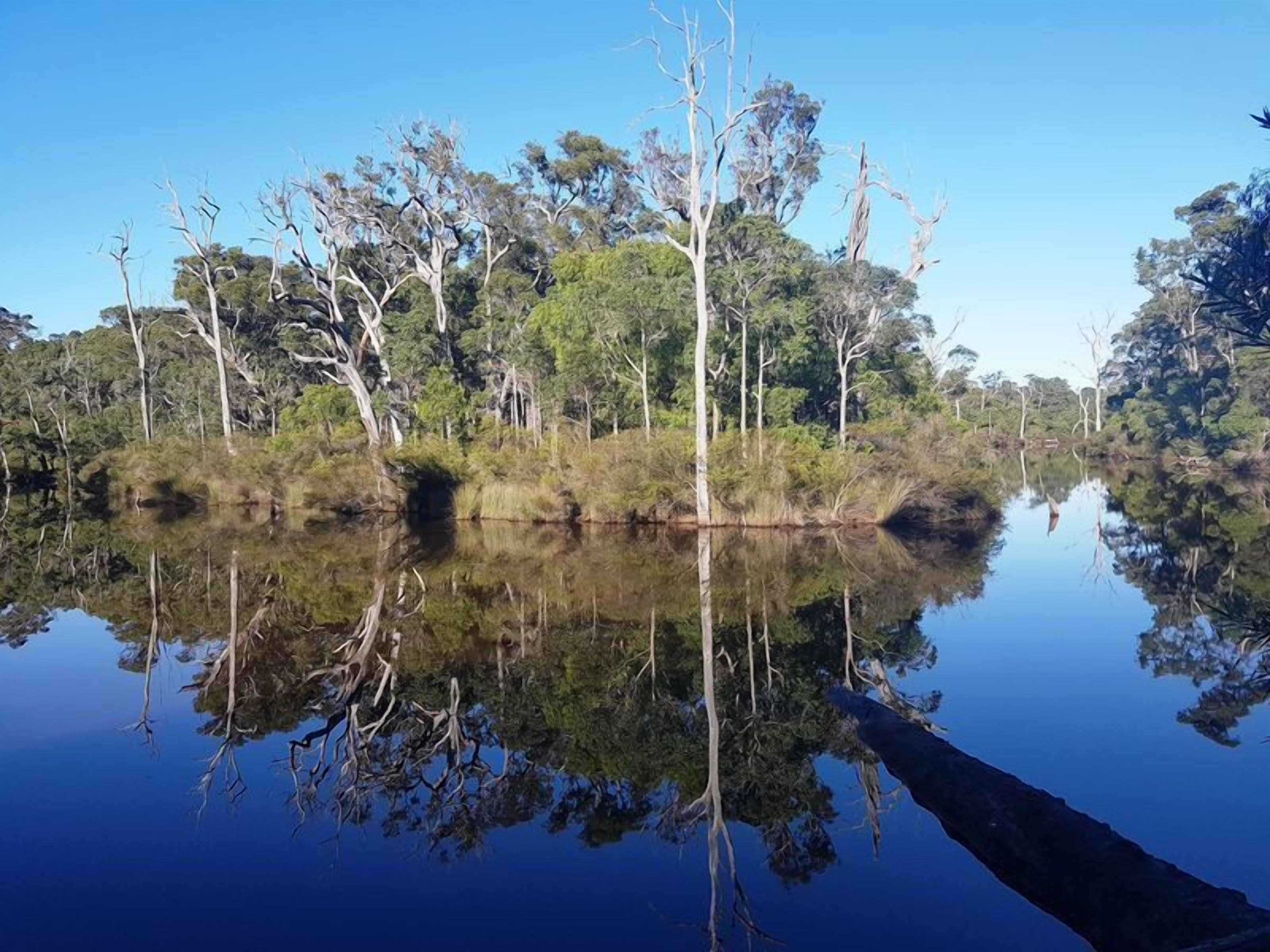 A River Cottage Margaret River — image 19