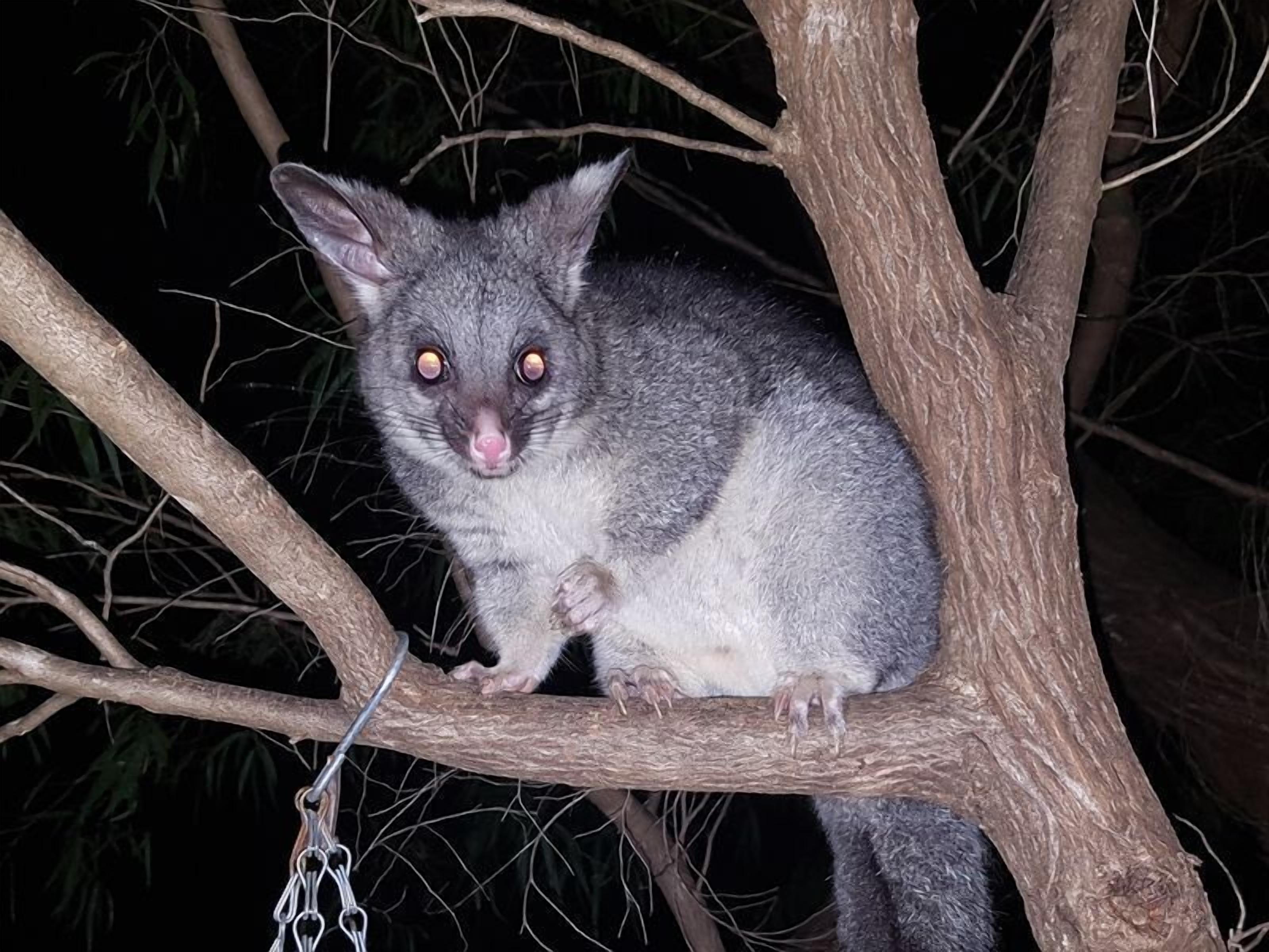 A River Cottage Margaret River — image 21