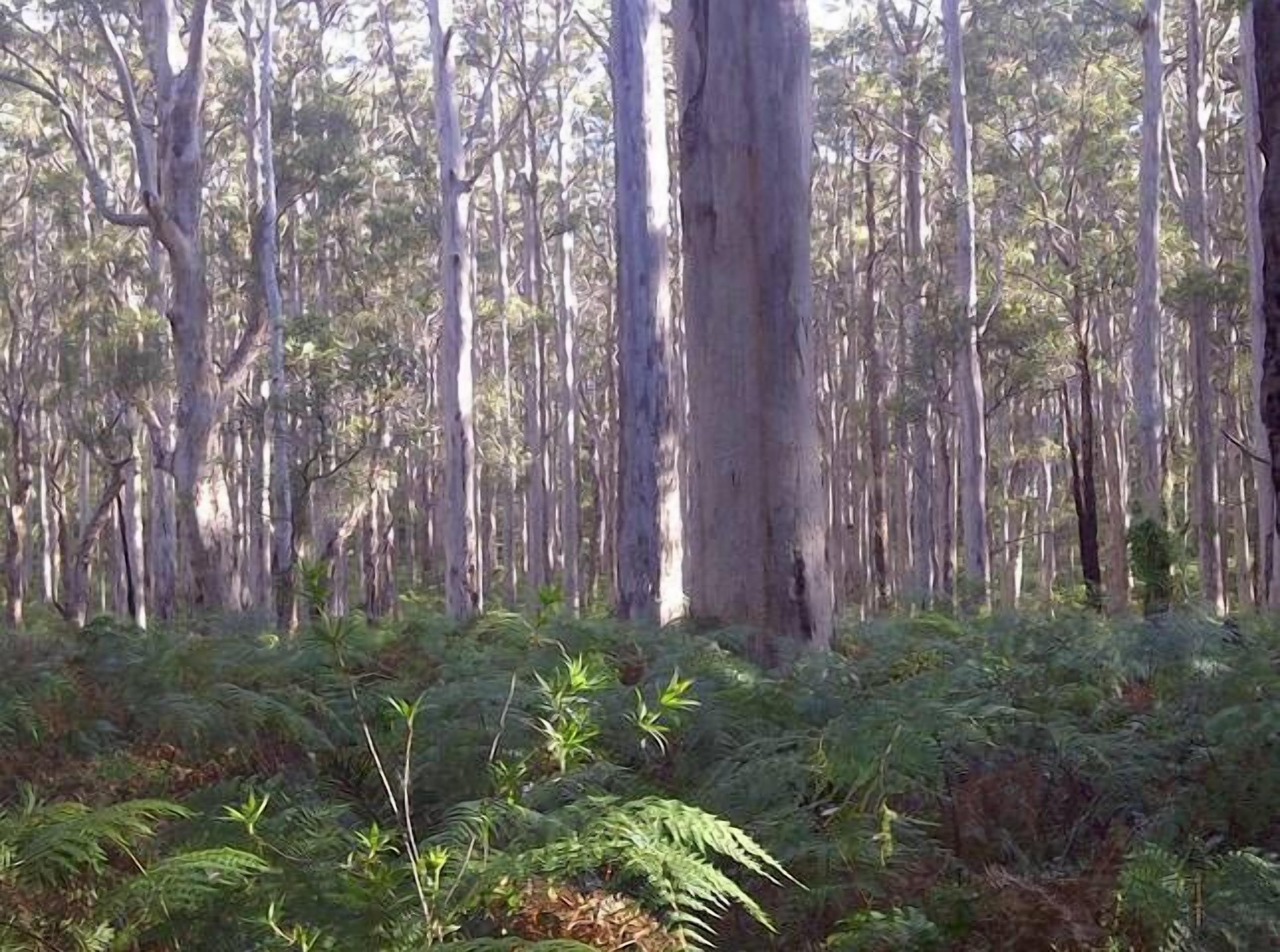 A River Cottage Margaret River — image 23