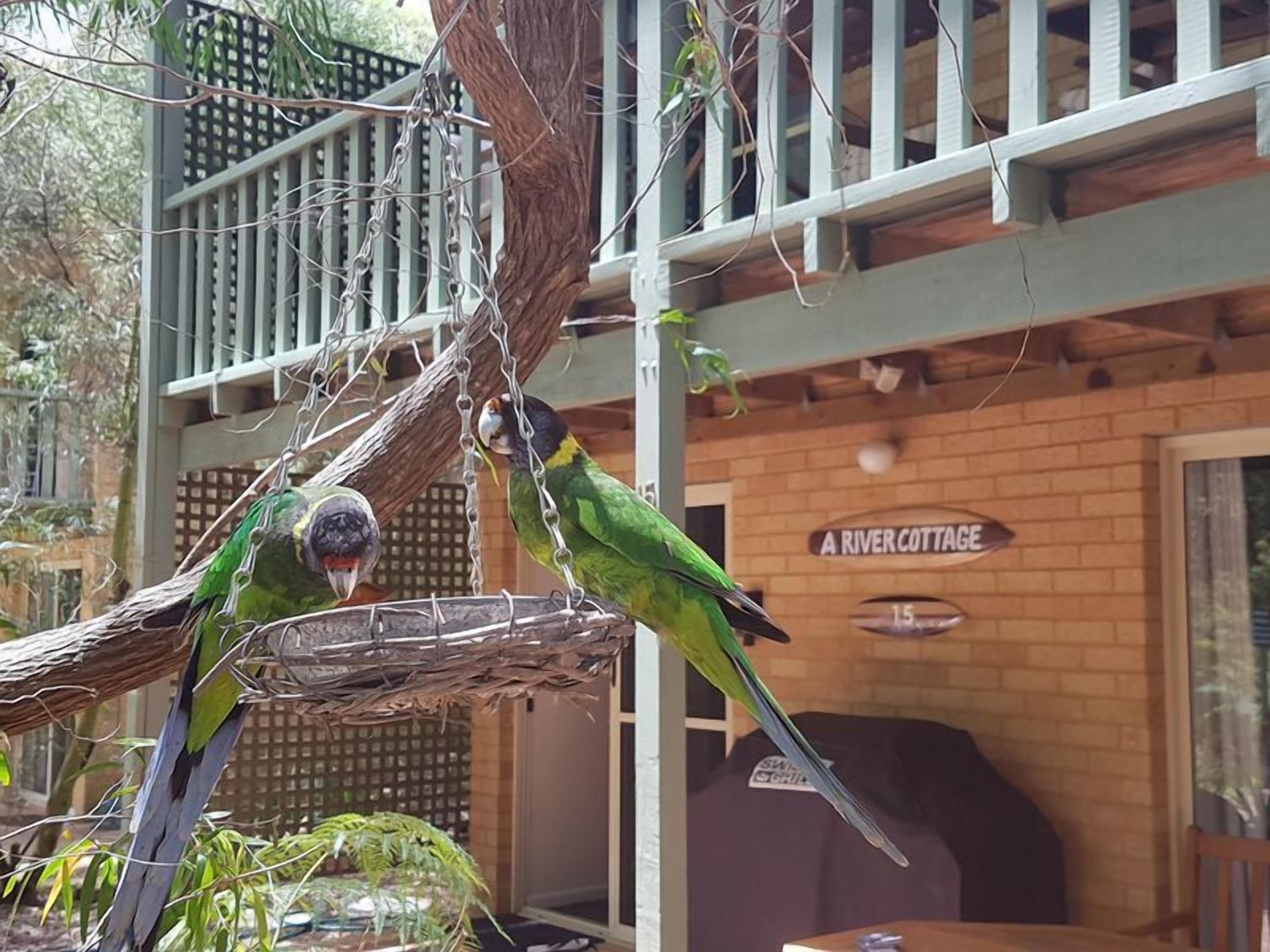 A River Cottage Margaret River — image 4