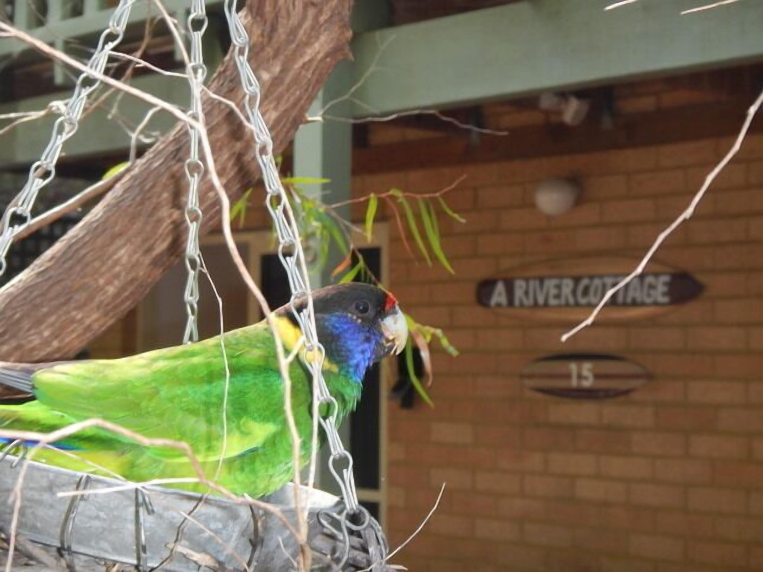 A River Cottage Margaret River — image 6