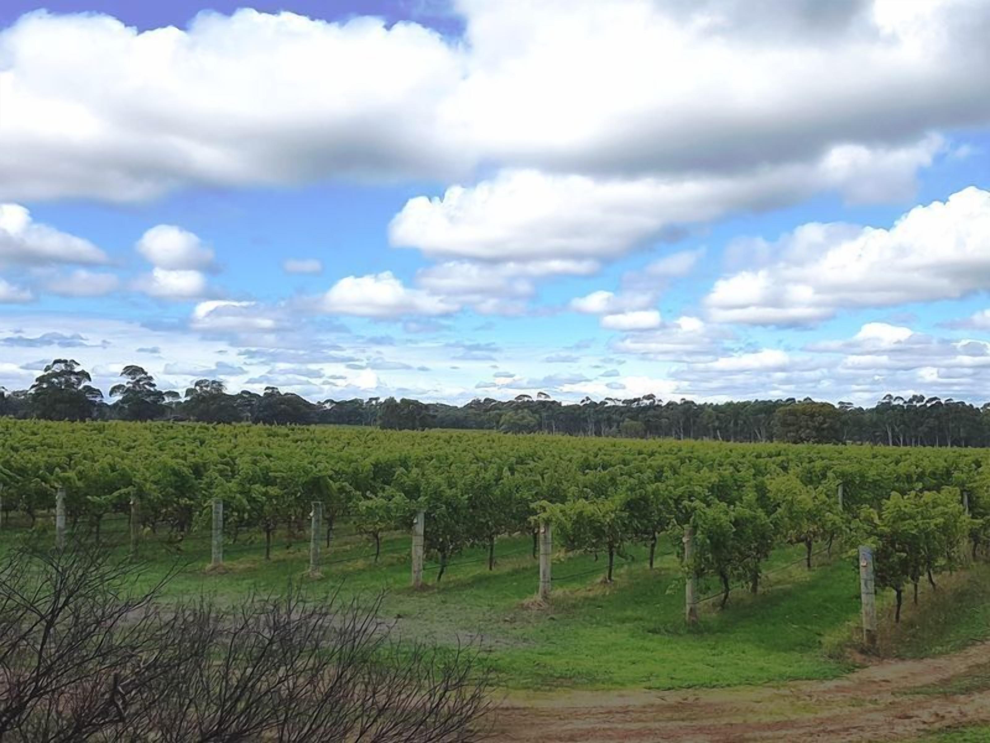 A River Cottage Margaret River — image 20