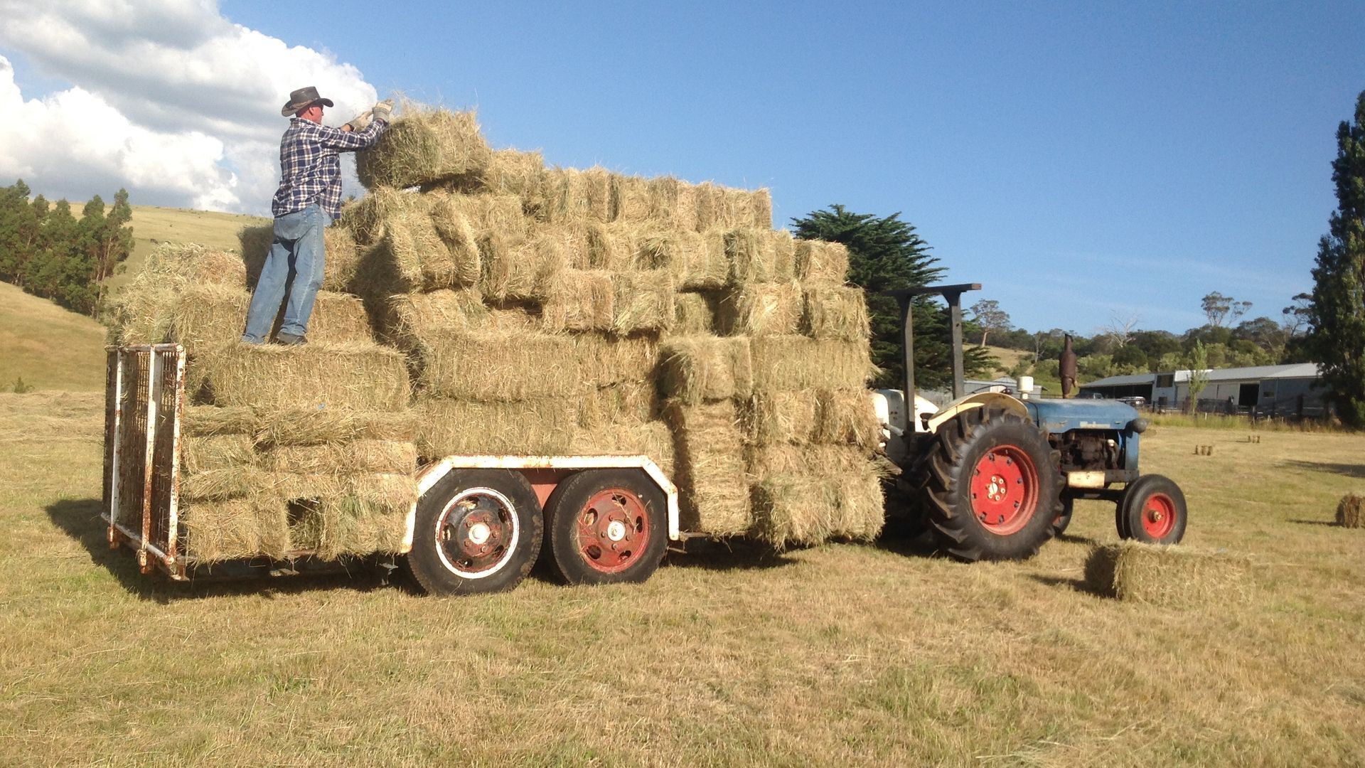 Glenayr Traminer Apartment — image 6