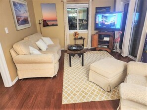 Smart TV, DVD player, books, stereo