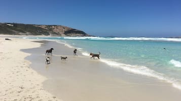 Playa