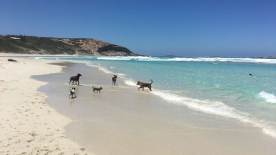 El Lilypad Esperance