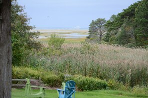 Property grounds - SUNSET BAY VILLA Backyard Sunsets, Kayaks, Bikes, HotTub, NatureTrails, Fire Pit (Yarmouth Port)