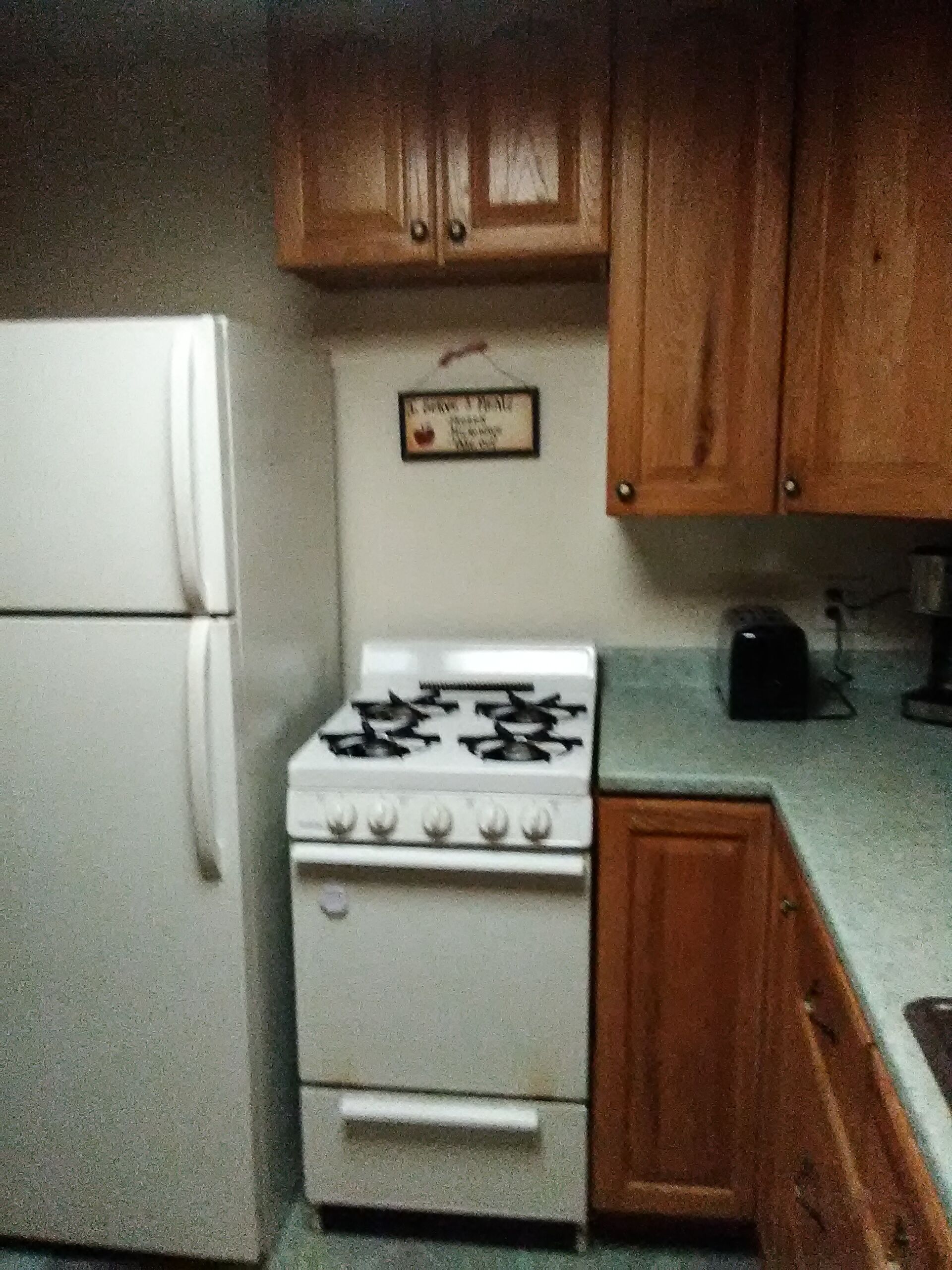 Star gazer no city lights